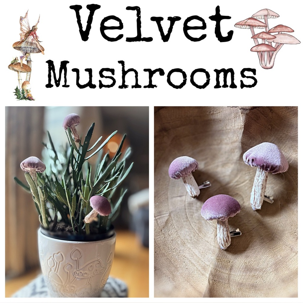 Mushrooms Plant Accessories